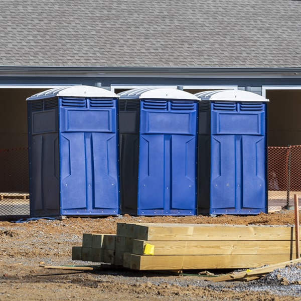 how can i report damages or issues with the porta potties during my rental period in Lebanon